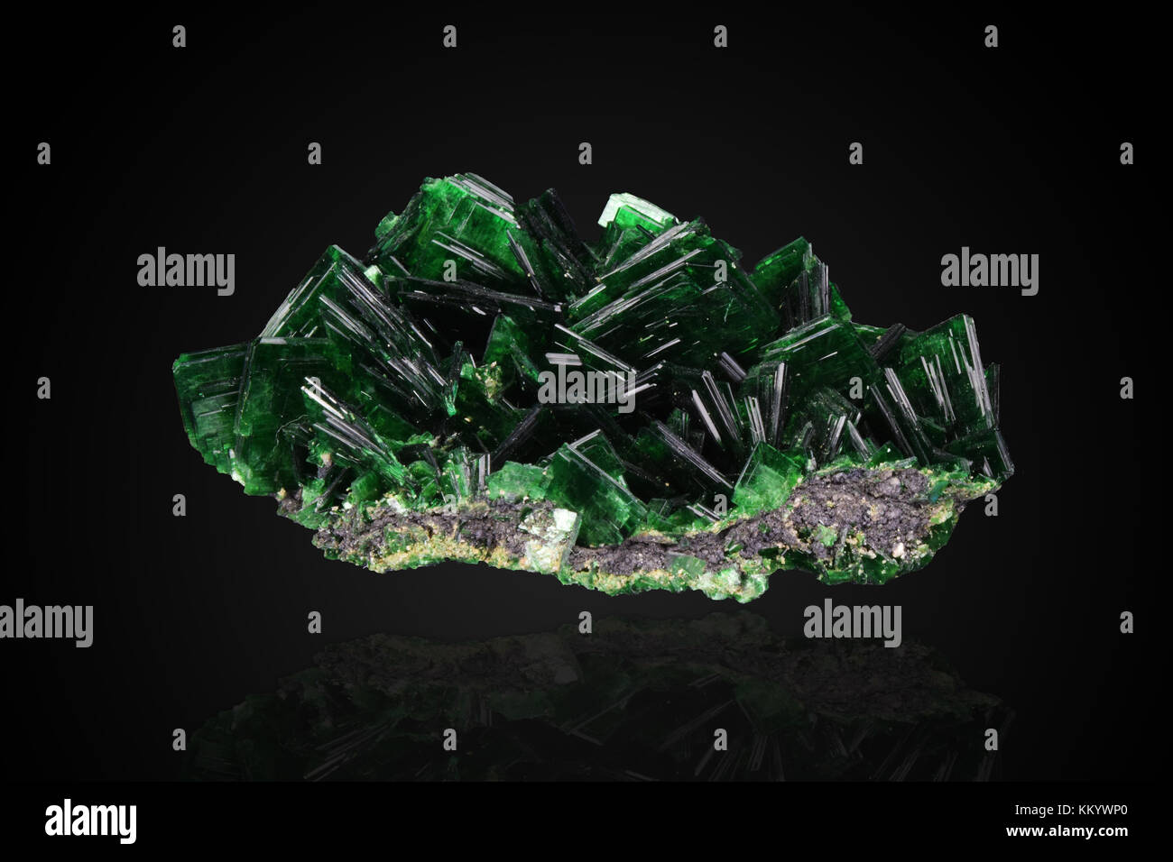 Un campione di materiale radioattivo torbernite rame minerale di fosfato preso dalla miniera musonoi Marzo 4, 2017 in kolwezi, Repubblica democratica del Congo. (Foto da carlin verde via planetpix) Foto Stock