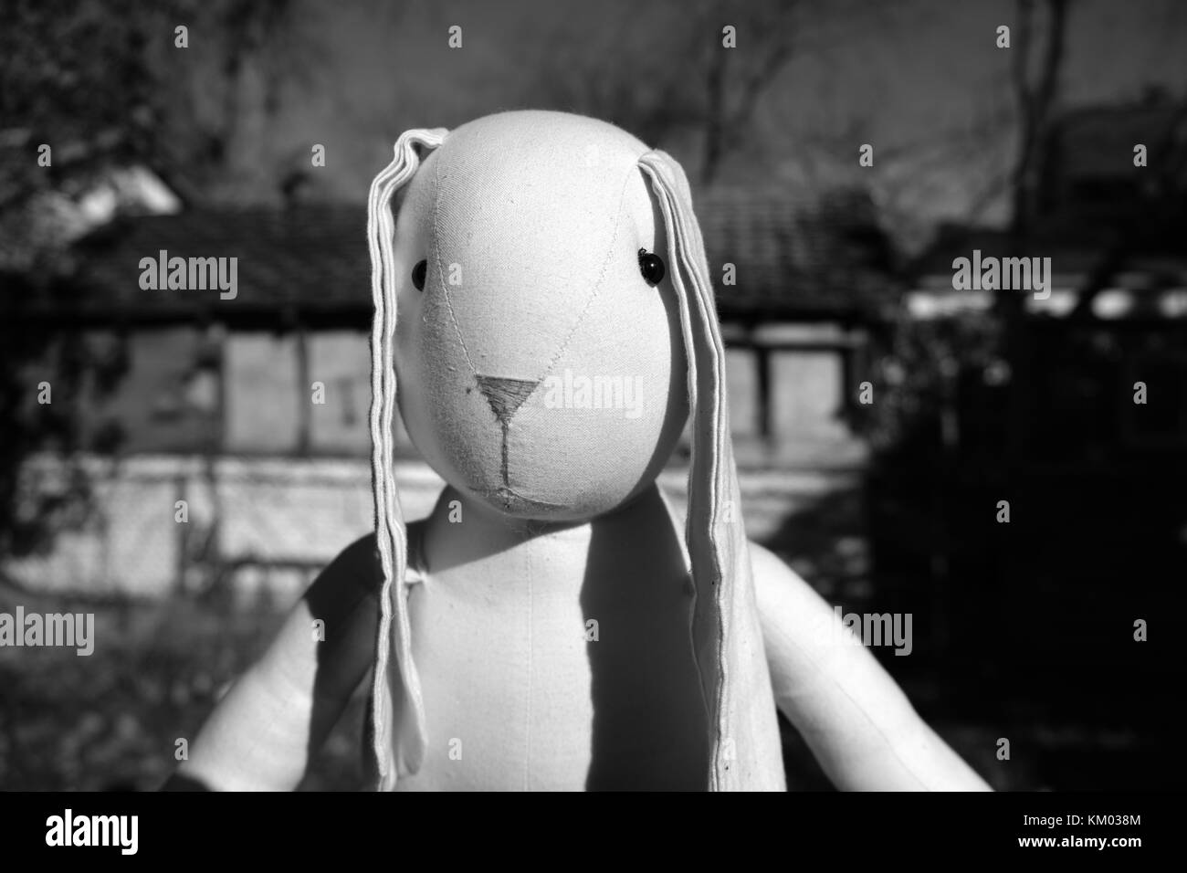 Un close up ritratto di un coniglietto ripiene. Foto Stock