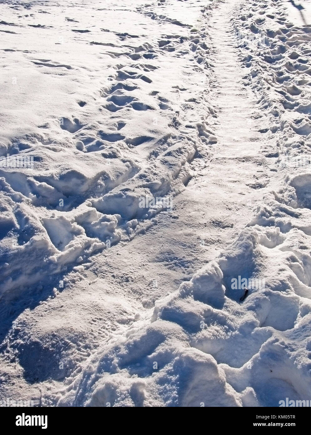 Percorso curvo naturale della neve in luce solare invernale Foto Stock