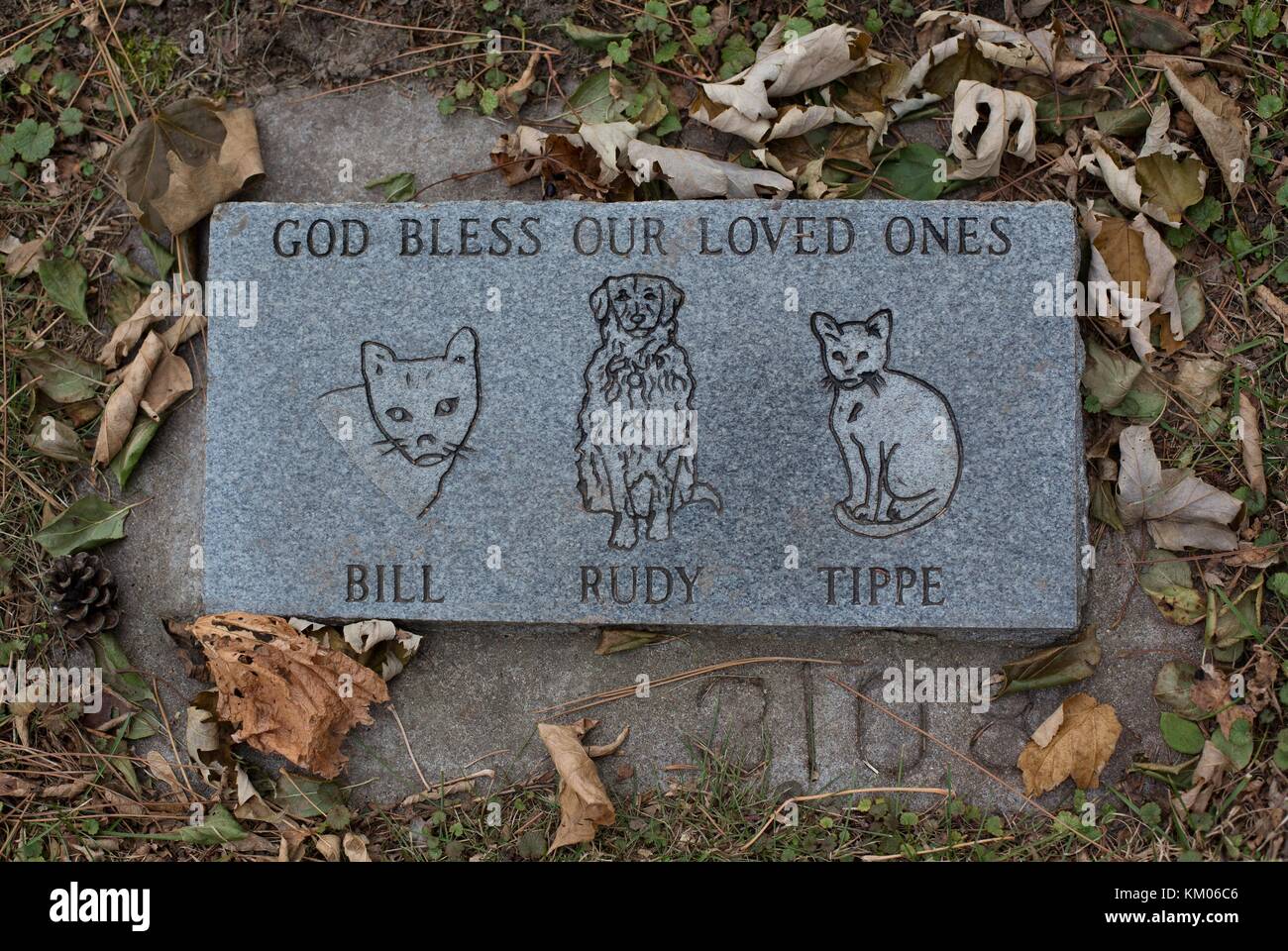 Un grave marker al memoriale storico cimitero di Pet in Roseville, Minnesota, Stati Uniti d'America. Foto Stock