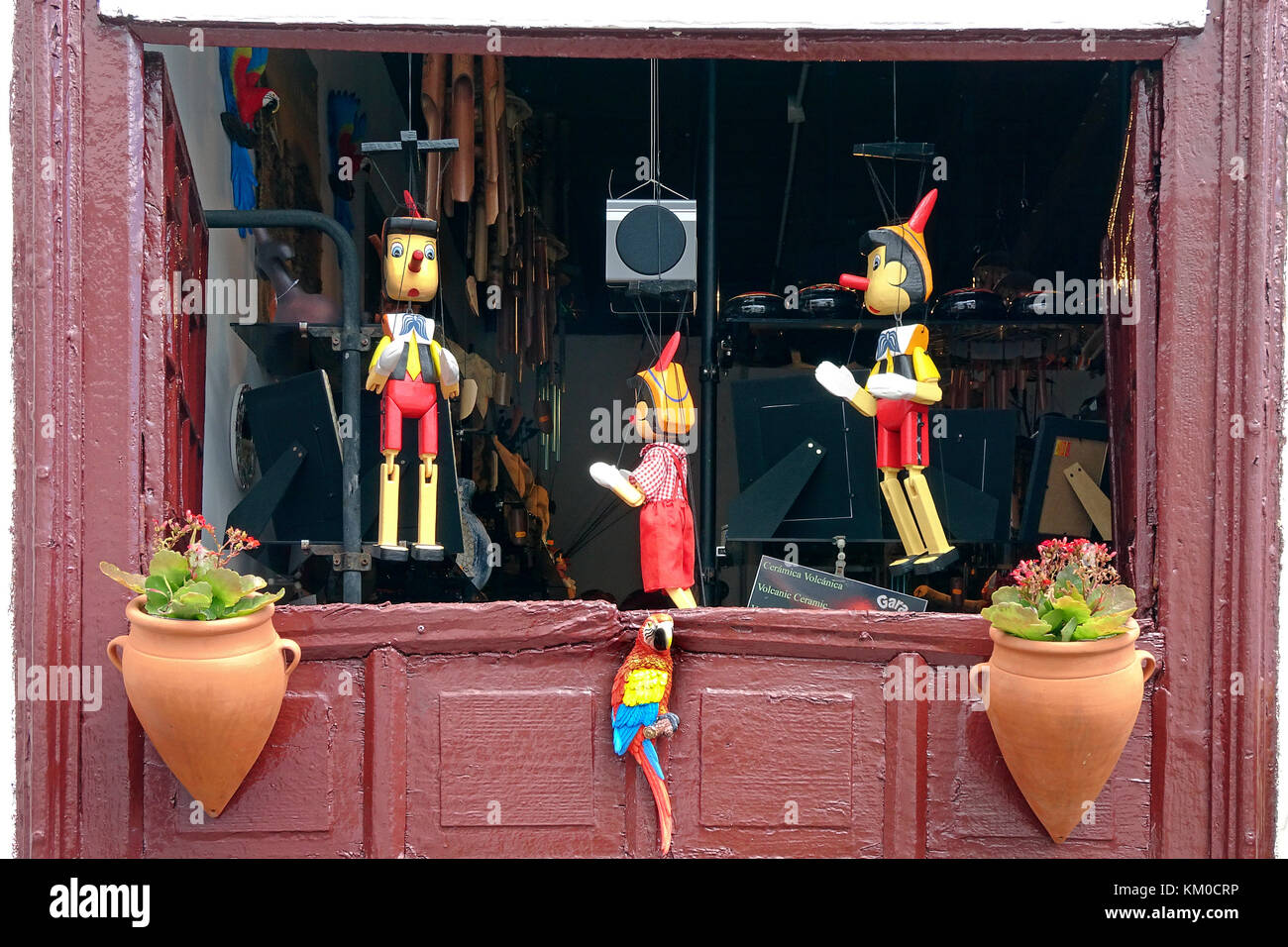 Pinocchio, shop vende bambole in legno, artigianato, villaggio a Garachico, costa nord-ovest dell'isola di Tenerife, Isole canarie, Spagna Foto Stock