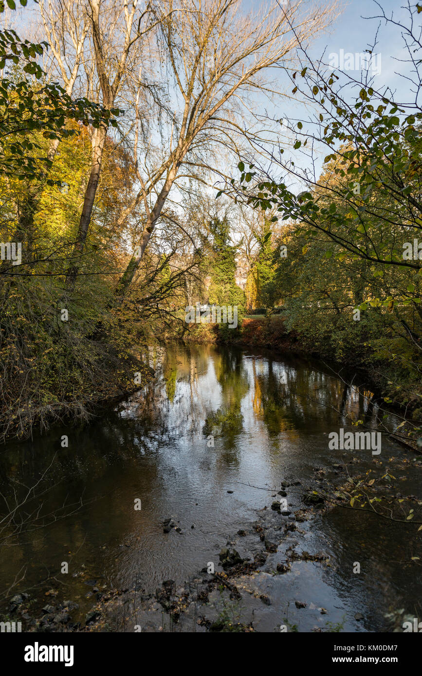 Derwent River a Matlock, Derbyshire, Inghilterra Foto Stock