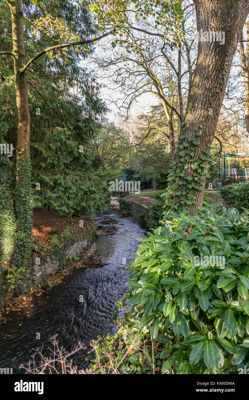 Derwent River a Matlock, Derbyshire, Inghilterra Foto Stock