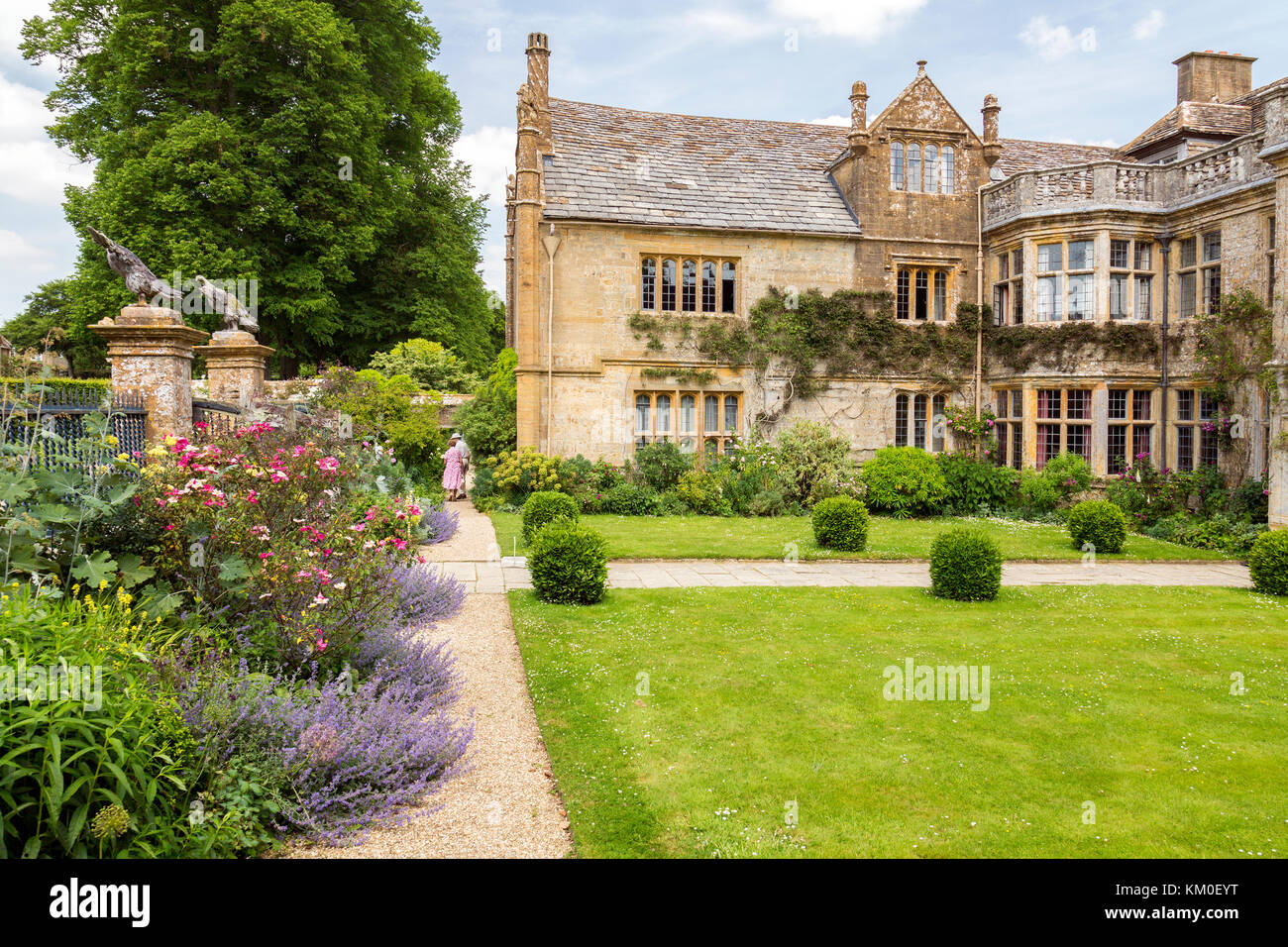 Il confine erbacee ed il prato di fronte Mapperton House - un Country Manor House e Casa del Conte di Sandwich nr Beaminster, Dorset, England, Regno Unito Foto Stock