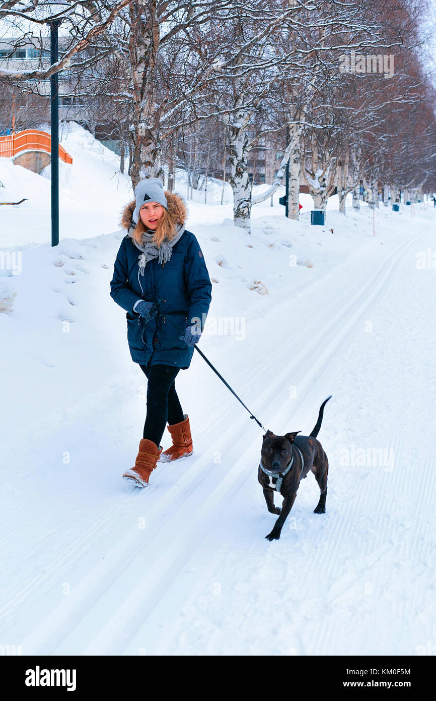 Rovaniemi, Finlandia - 2 marzo 2017: Ragazza con pitbull in strada di inverno rovaniemi, Finlandia. Foto Stock