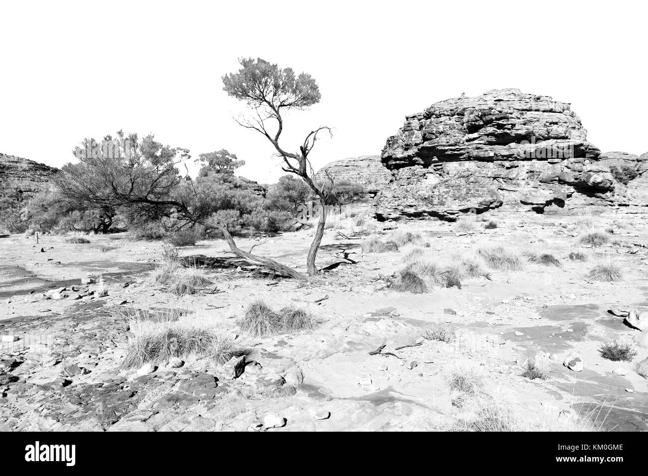 In Australia il Kings Canyon natura selvaggia e outback Foto Stock