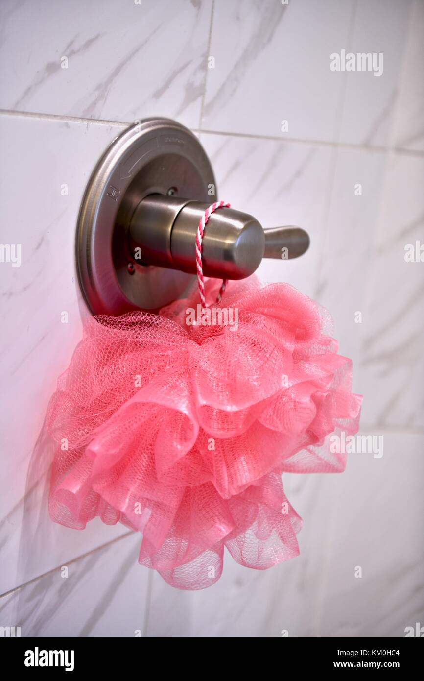 Loofah della doccia Foto Stock