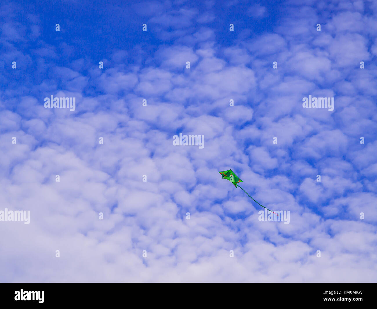 Kite battenti di fronte cielo blu e nuvole Foto Stock