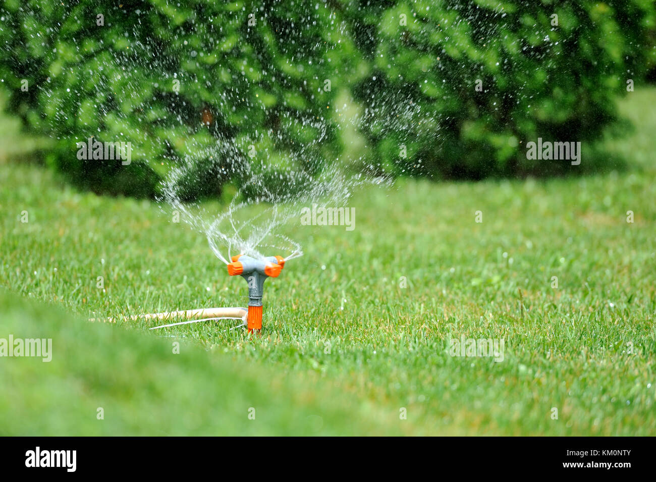 Sprinkler giardino lavorando su un verde prato Foto Stock