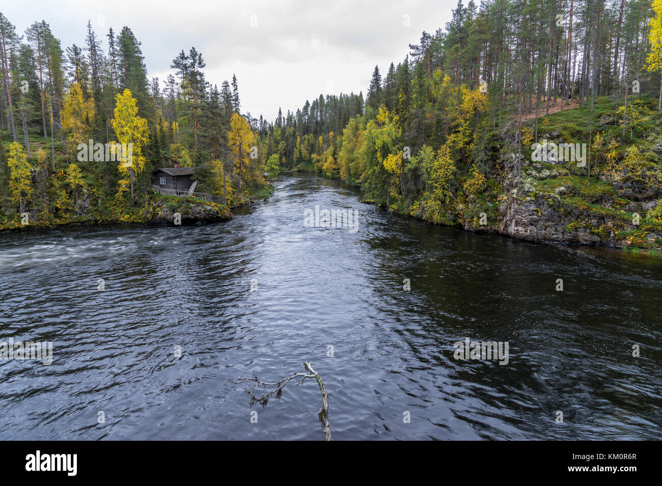 Cliff, muro di pietra, foresta, cascata e il fiume selvaggio vista in autunno. I colori dell'autunno - ruska tempo in Myllykoski. Una parte di Karhunkierros Trail. Oulanka Foto Stock