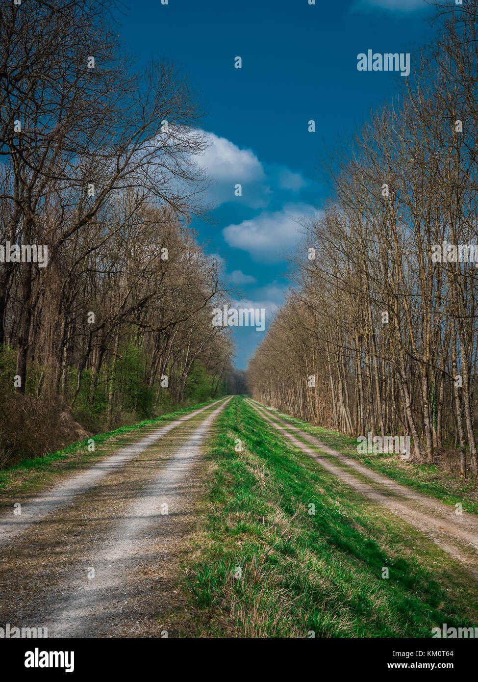 Due strade parallele in primavera Foto Stock