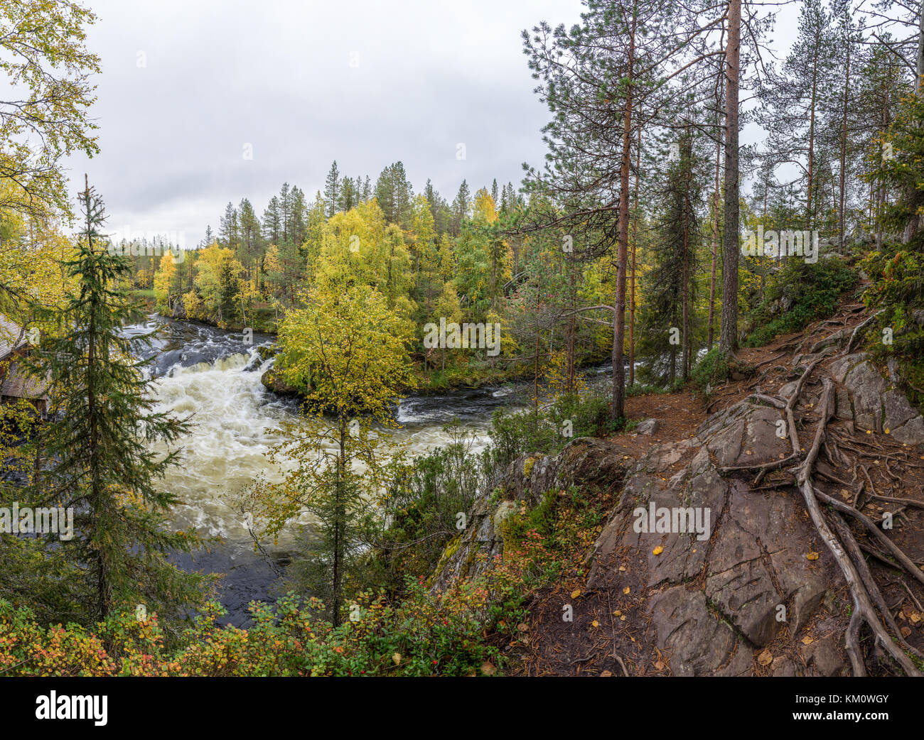 Cliff, muro di pietra, foresta, cascata e il fiume selvaggio vista panoramica in autunno. I colori dell'autunno - ruska tempo in Myllykoski. Sentiero di Karhunkierros, Oulanka Nat Foto Stock