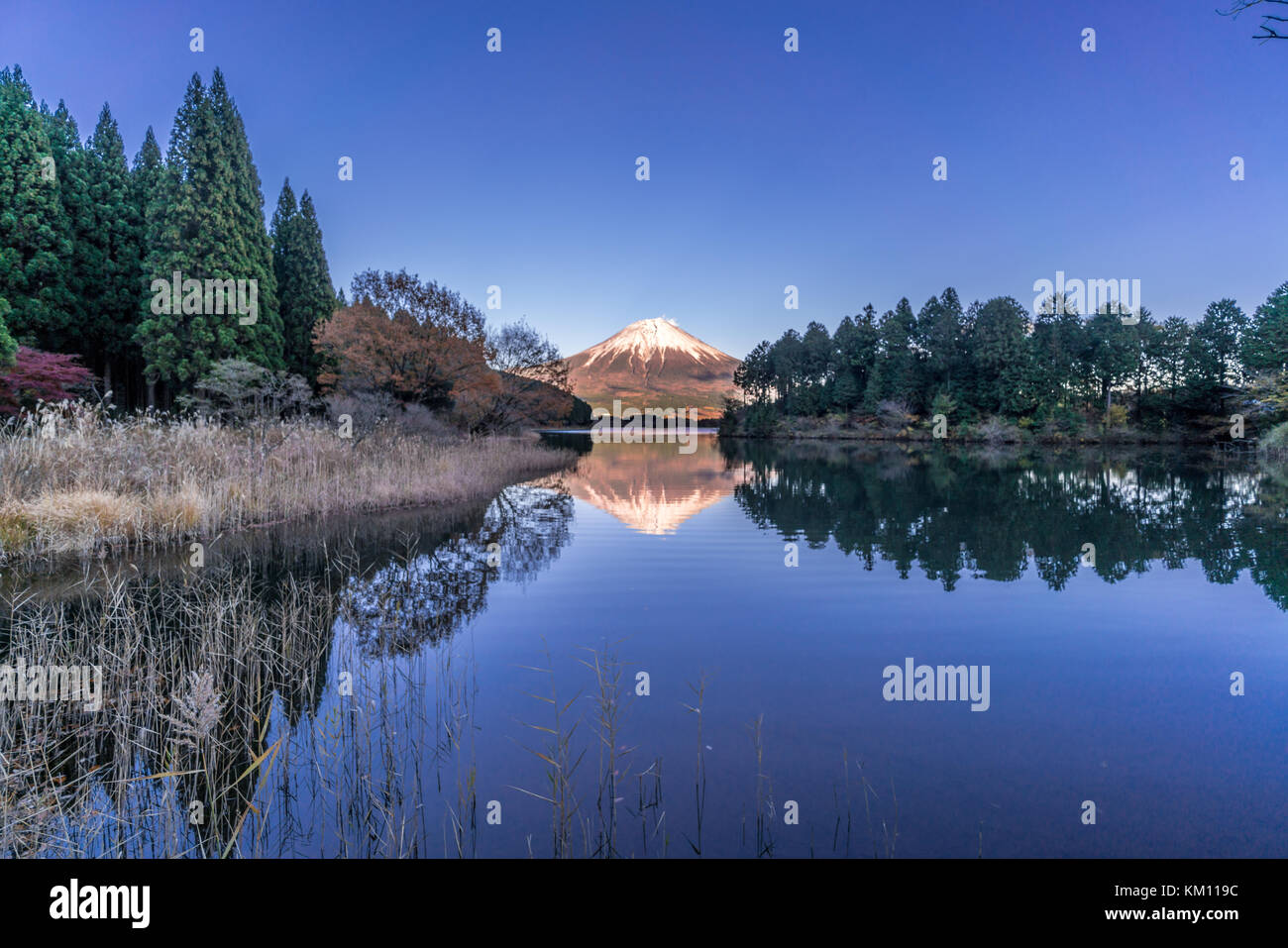 Bellissimo cielo limpido tramonto al Lago Tanuki (Tanukiko). Fuji riflessioni di montagna, prima neve nella stagione autunnale. Situato nei pressi di Tokai Sentiero Natura, Shizuok Foto Stock