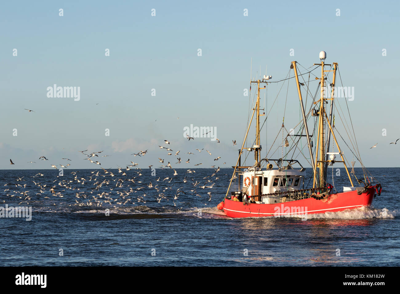 Nave da pesca in mare Foto Stock