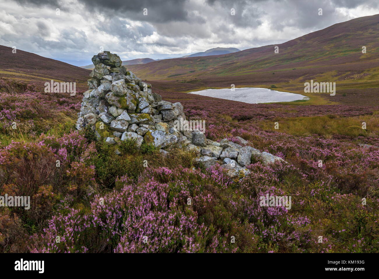 Una pietra cairn siede tra la fioritura heather mentre si affaccia llyn hesgyn, parco nazionale di Snowdonia Foto Stock