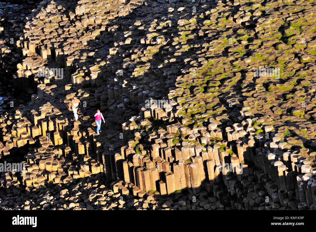 Il Giants Causeway, Co. Antrim, Irlanda del Nord. Guardando verso il basso da una scogliera a esagonale a colonne di basalto del Grand Causeway Foto Stock