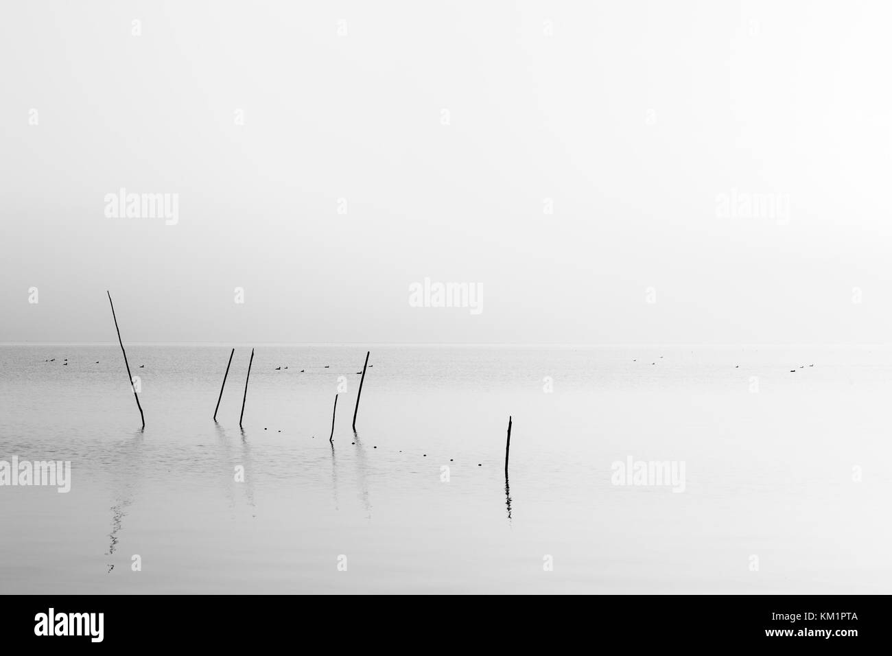 Un molto minimalista vista di un lago all'alba, con luce tenue e di toni, reti da pesca e pali in primo piano Foto Stock
