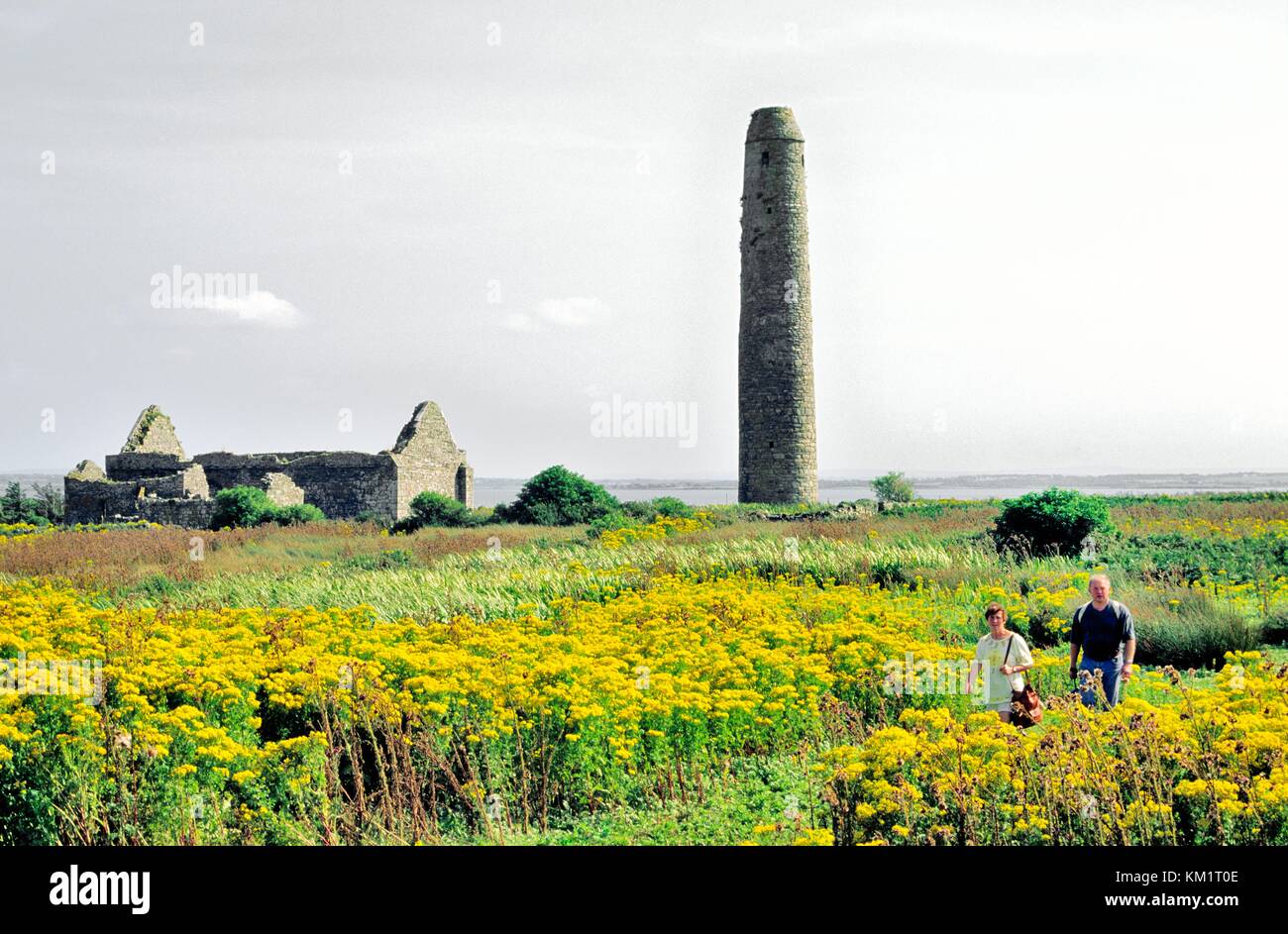 Scattery Island, Contea di Clare, Irlanda. Cattedrale celtica di San Senano e torre rotonda Foto Stock