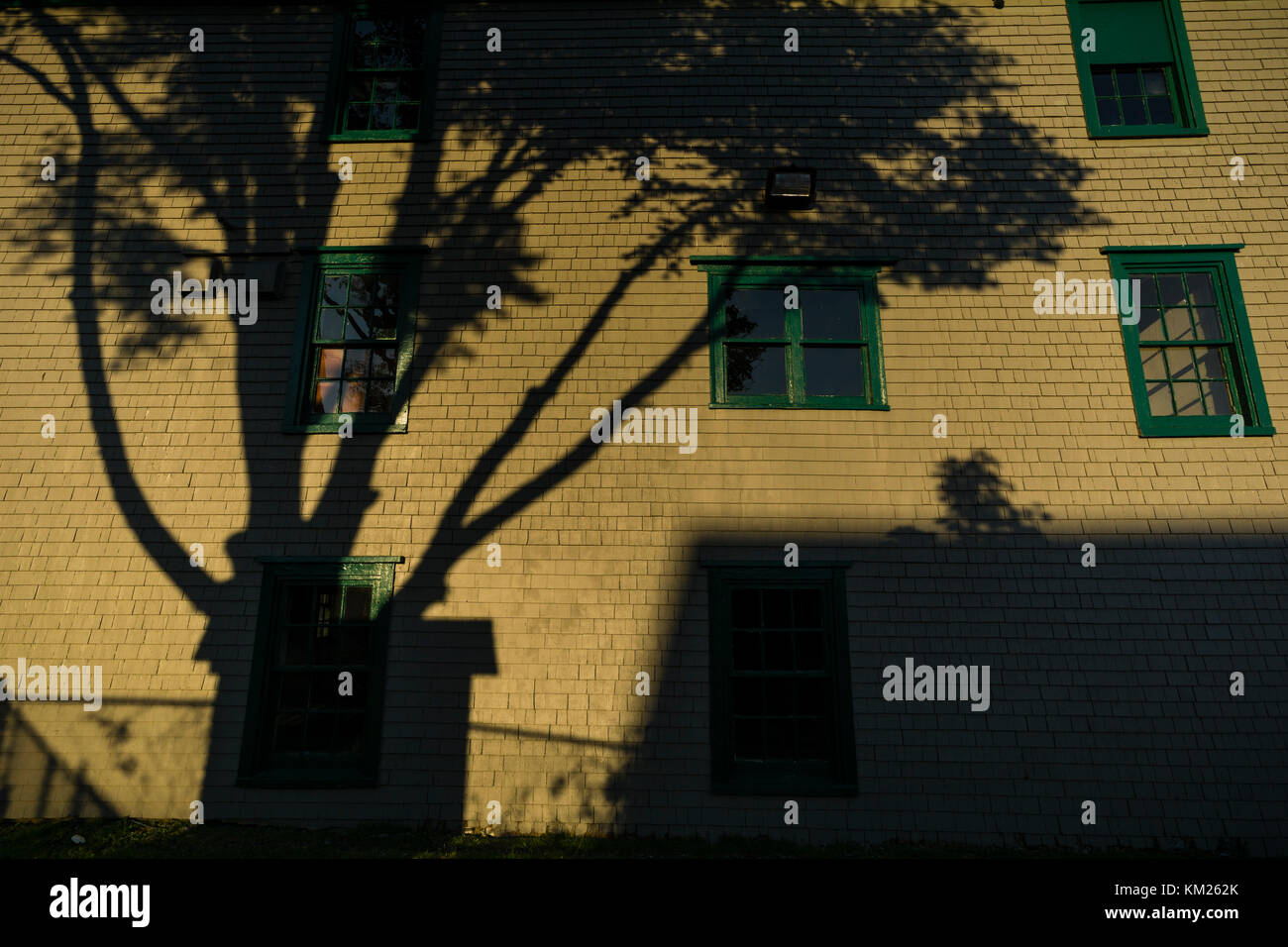 Ombra di un albero proiettato su un edificio a Lunenburg, Nuova Scozia, Canada. Foto Stock