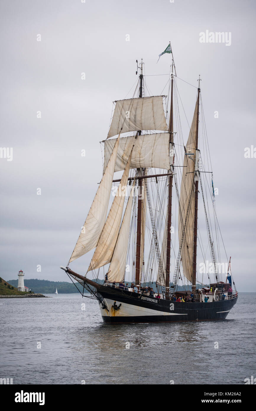 3 olandese-masted goletta "Oosterschelde' a vela nel porto di Halifax, Nova Scotia, Canada. Foto Stock