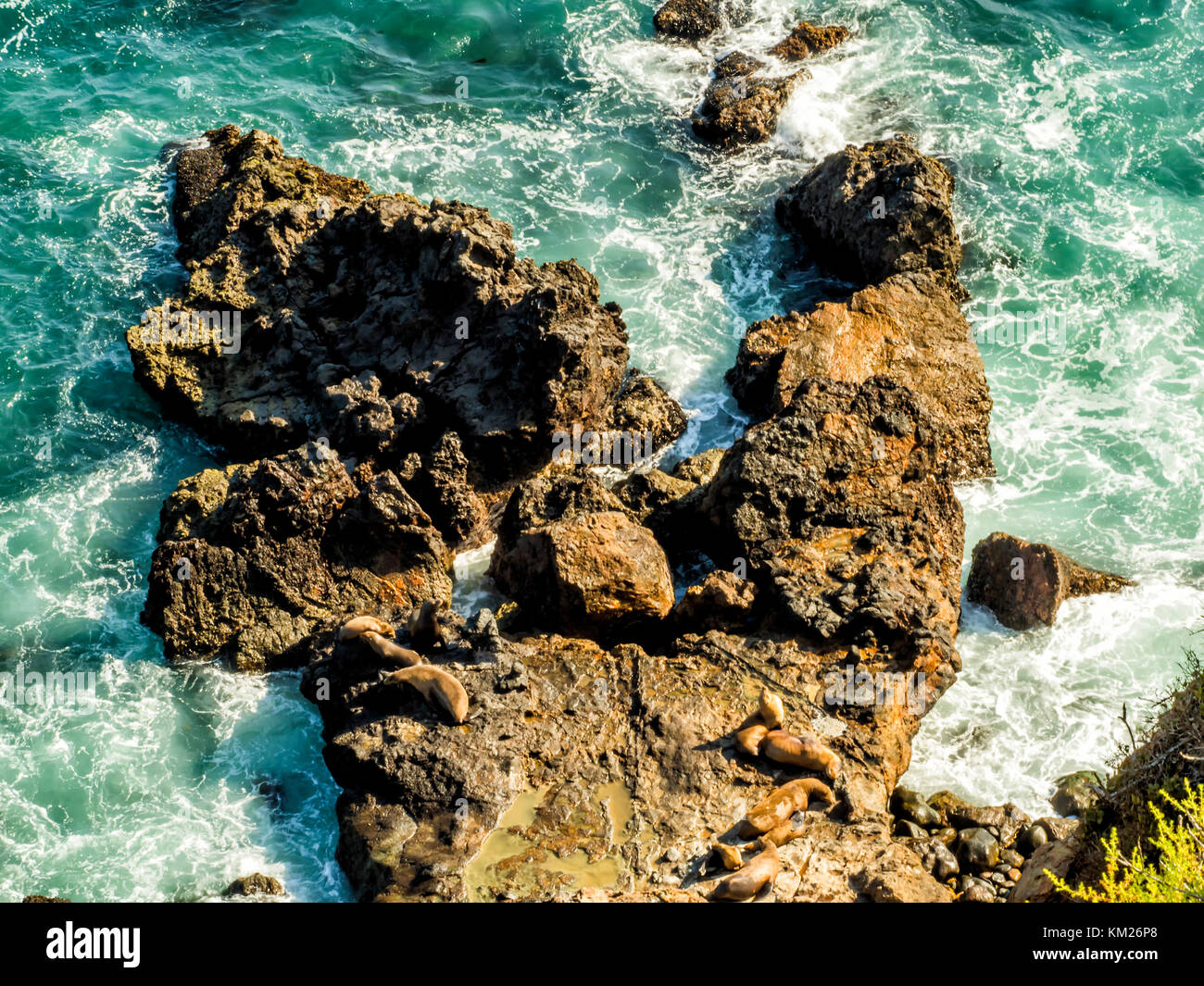 Guarnizioni a Malibu, Smeraldo e acqua blu in una tranquilla spiaggia paradiso circondato da scogliere. dume cove, Malibu, California, CA, Stati Uniti d'America Foto Stock