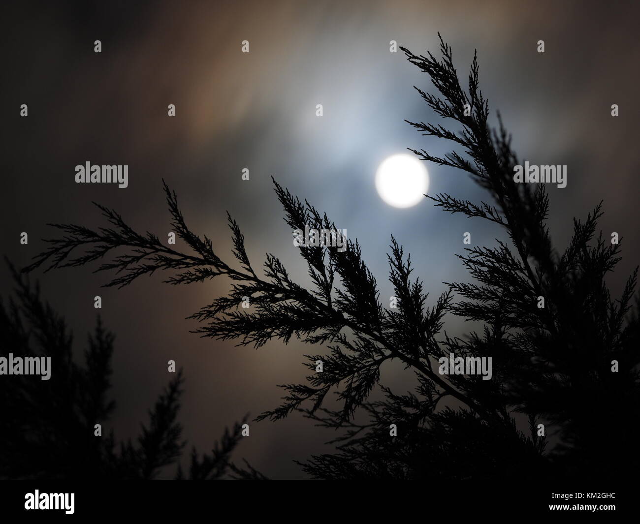 Sheerness, Kent, Regno Unito. 3 dicembre, 2017. Regno Unito Meteo: la piena supermoon oltre Sheerness. Credito: James Bell/Alamy Live News Foto Stock