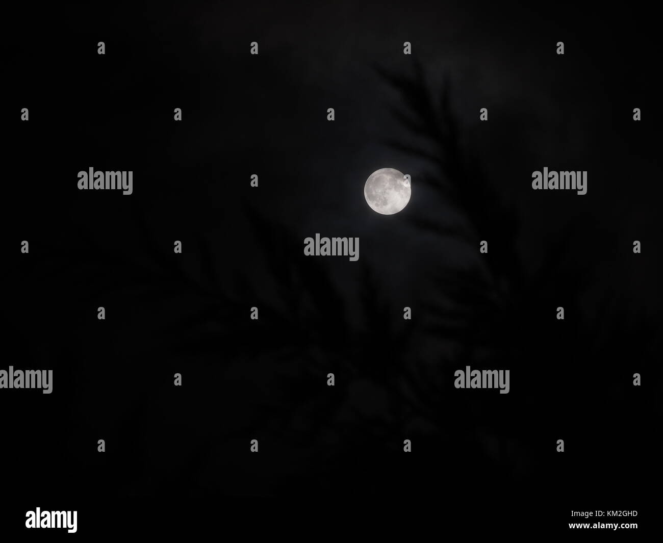 Sheerness, Kent, Regno Unito. 3 dicembre, 2017. Regno Unito Meteo: la piena supermoon oltre Sheerness. Credito: James Bell/Alamy Live News Foto Stock