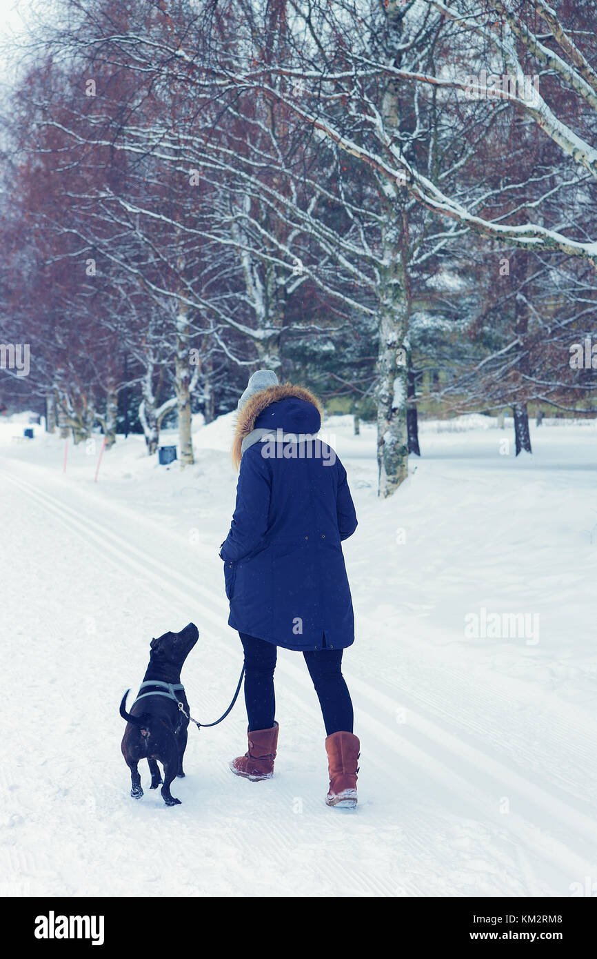 Ragazza con pitbull in via dell'inverno rovaniemi, Finlandia. Foto Stock