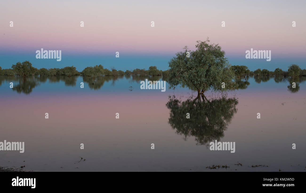 Alba glow oltre il lago di cohen nel deserto di Gibson, Australia occidentale, Australia Foto Stock