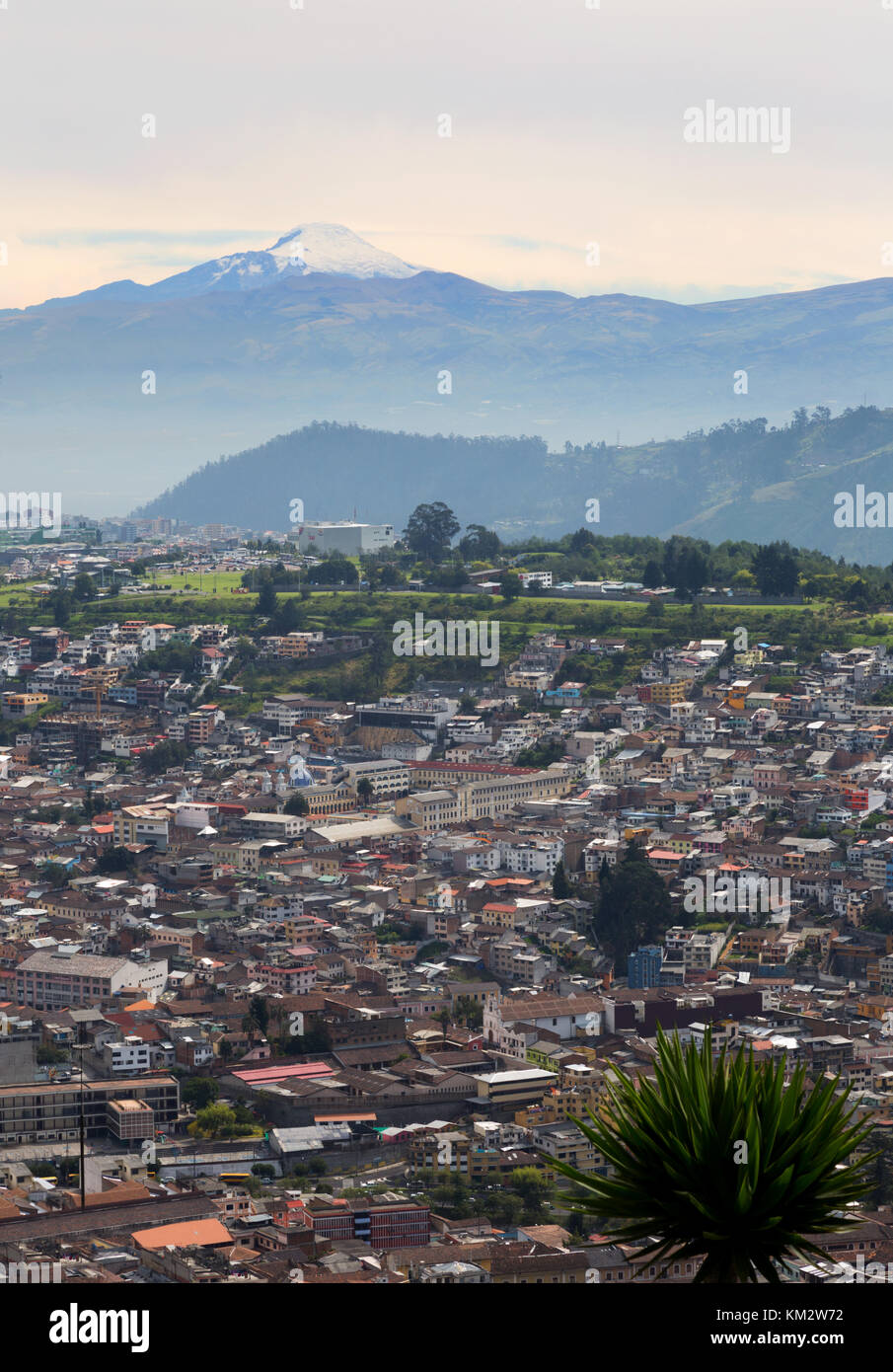 Quito Ecuador - vulcano Cayambe visto da Quito, Ecuador America del Sud Foto Stock