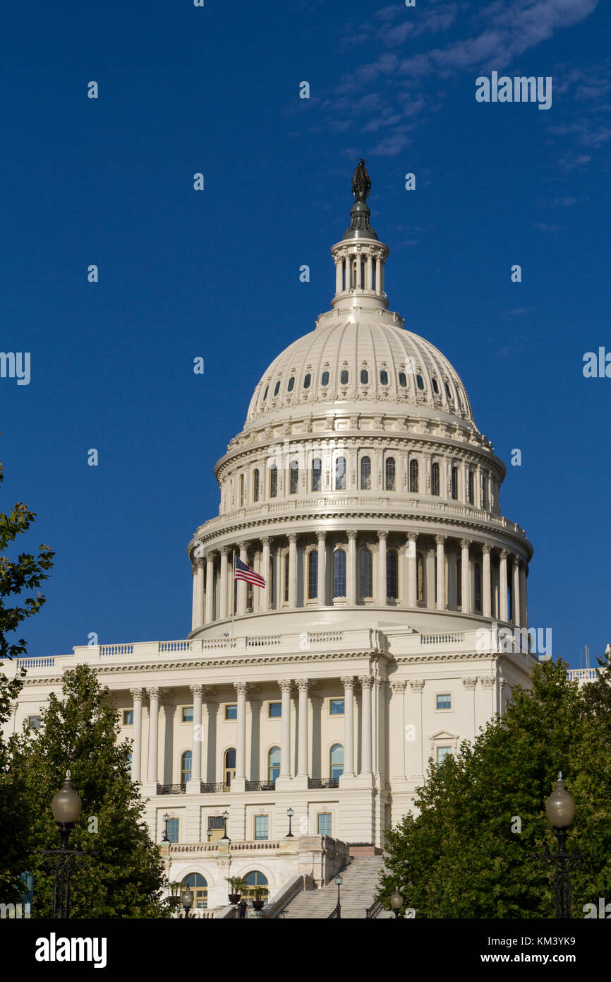 La cupola del Campidoglio degli Stati Uniti, spesso chiamato il Capitol Building, Washington DC, Stati Uniti d'America. Foto Stock