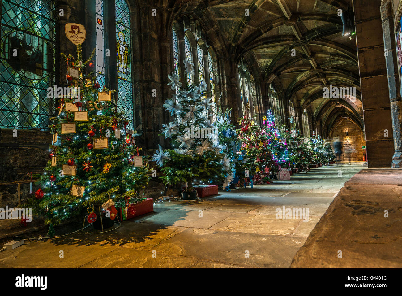 Alberi di Natale sul display a Chester Cathedral Regno Unito. Foto Stock