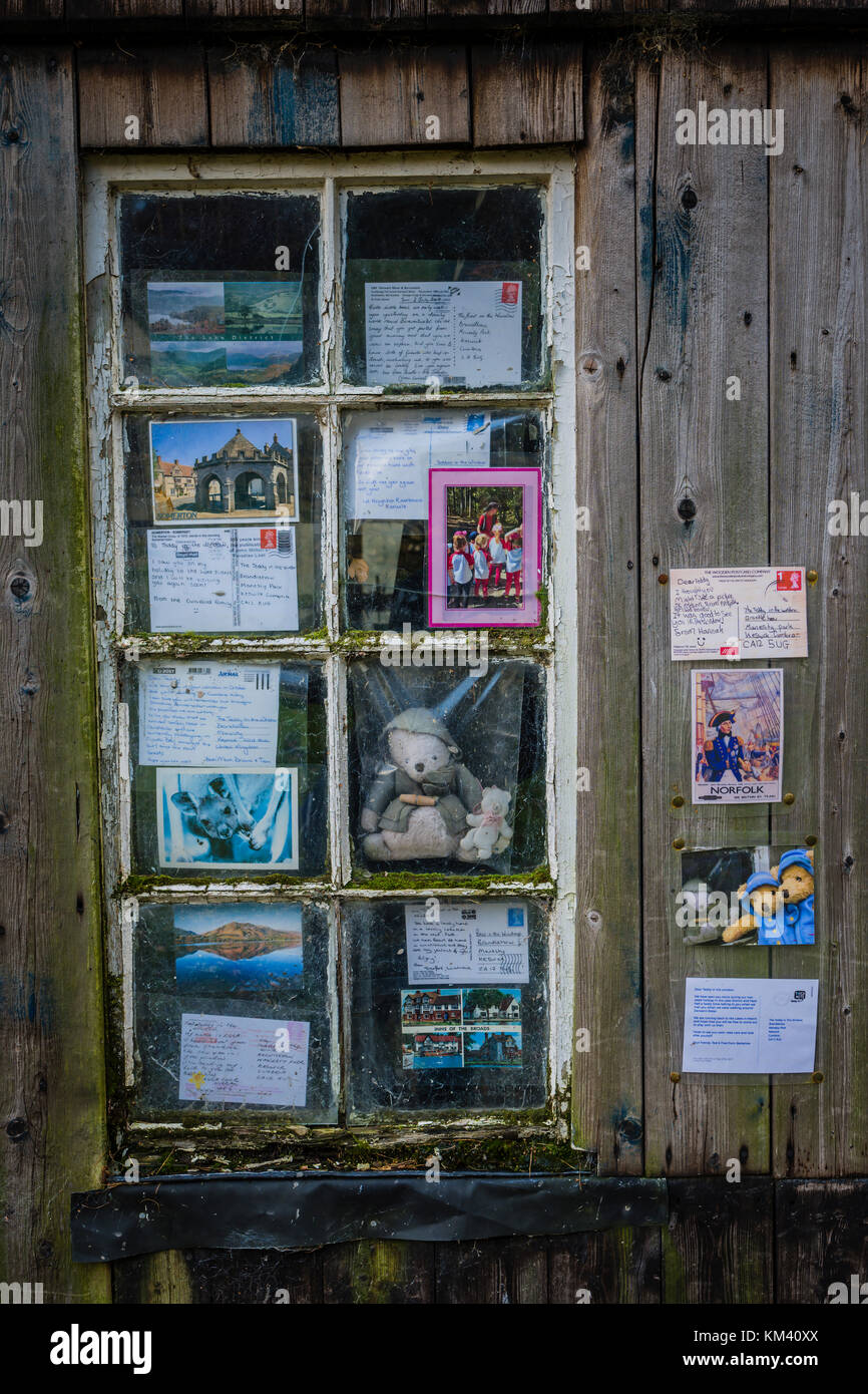 Lakeland recare sulla riva di Derwentwater, Lake District inglese vicino alla città di Keswick. Foto Stock
