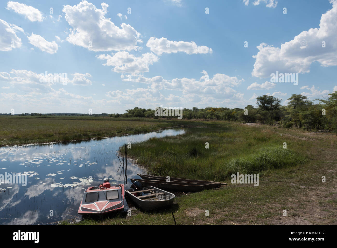 Fiume linyanti e paludi in Namibia, Africa Foto Stock Fiume linyanti e paludi in Namibia, Africa Foto Stock