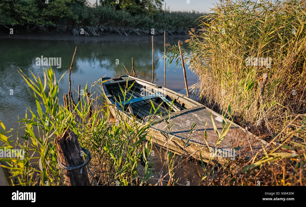 La barca di legno sulla riva cresciuto con canne. Vecchia barca da pesca. Foto Stock