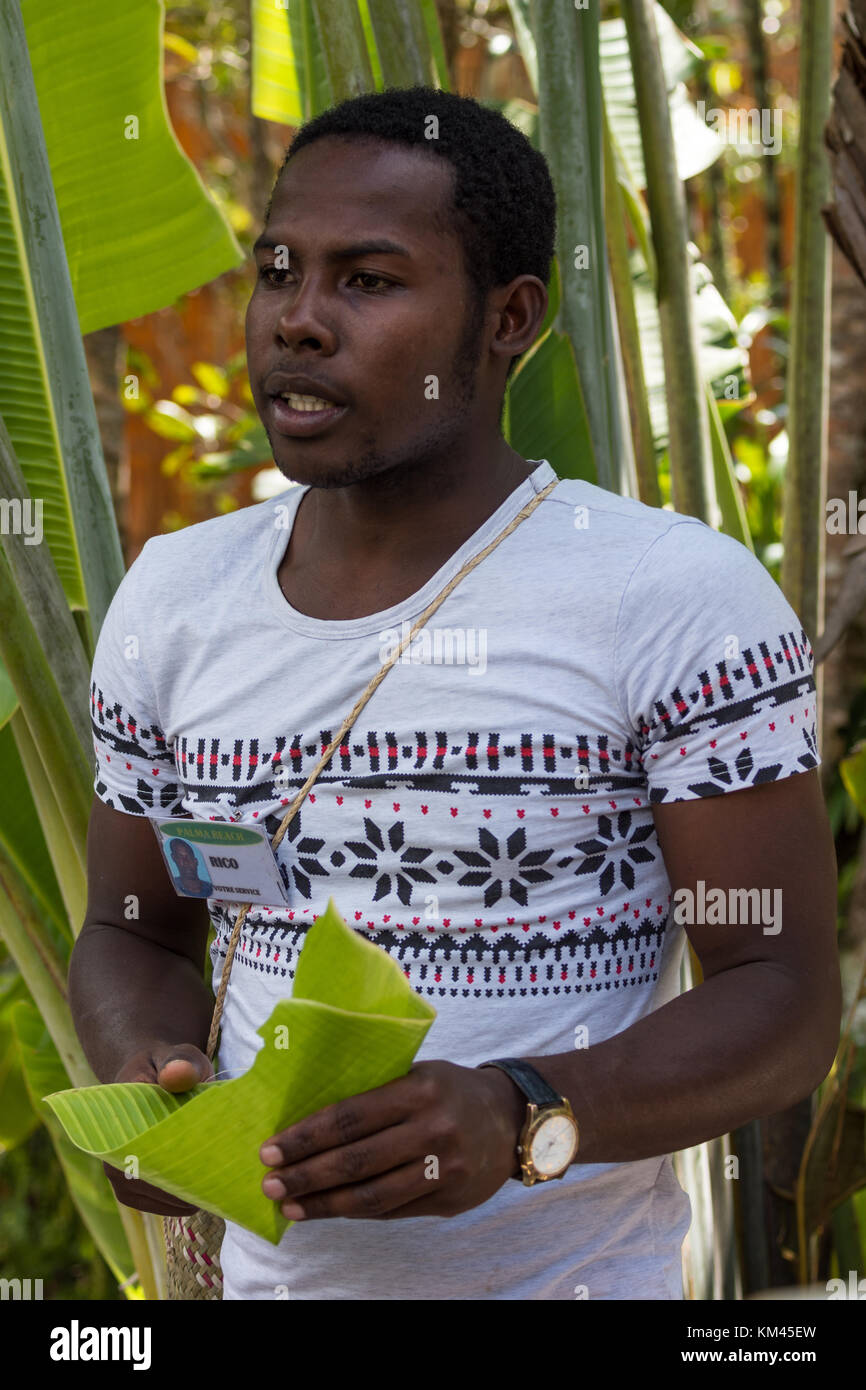 Un giovane tour malgascio guida che mostra i turisti come fare un bicchiere con banana leaf. madagascar, africa. Foto Stock