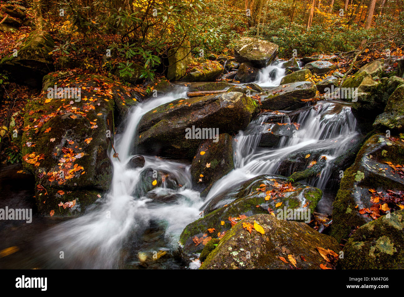 Flusso di autunno nelle Smoky Mountains lungo la Roaring Fork motor sentiero natura Foto Stock