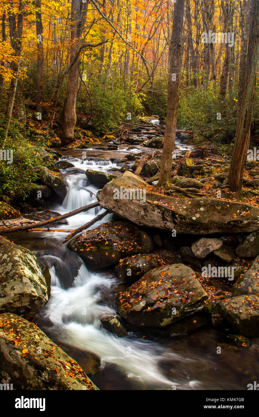 Flusso di autunno nelle Smoky Mountains lungo la Roaring Fork motor sentiero natura Foto Stock