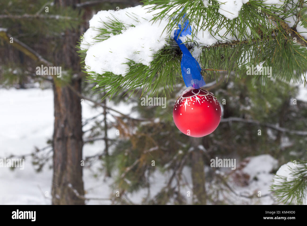 Sfondo di natale. inverno sfondo con coperte di neve rami di pino rosso con palla di Natale Foto Stock