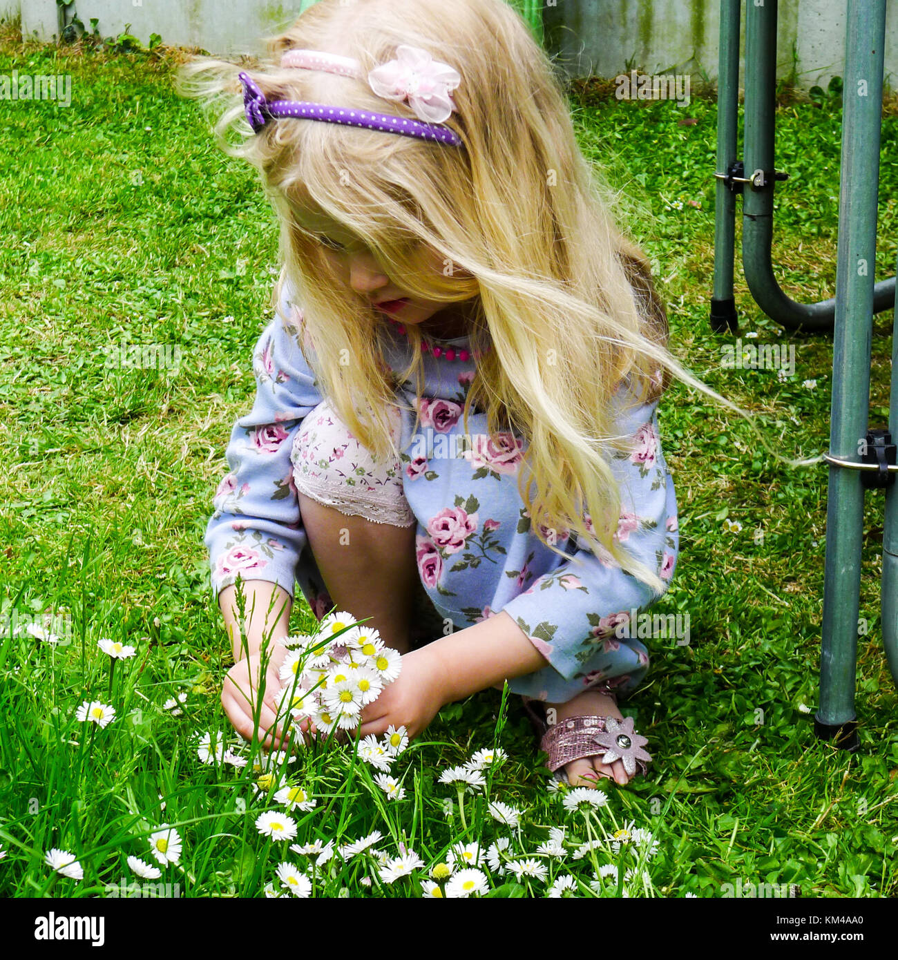 Bambino, bimba bionda capretto con capelli lunghi, picking margherite in erba lunga nel giardino in primavera, Irlanda piccole cose gioia vivere la natura carino Foto Stock