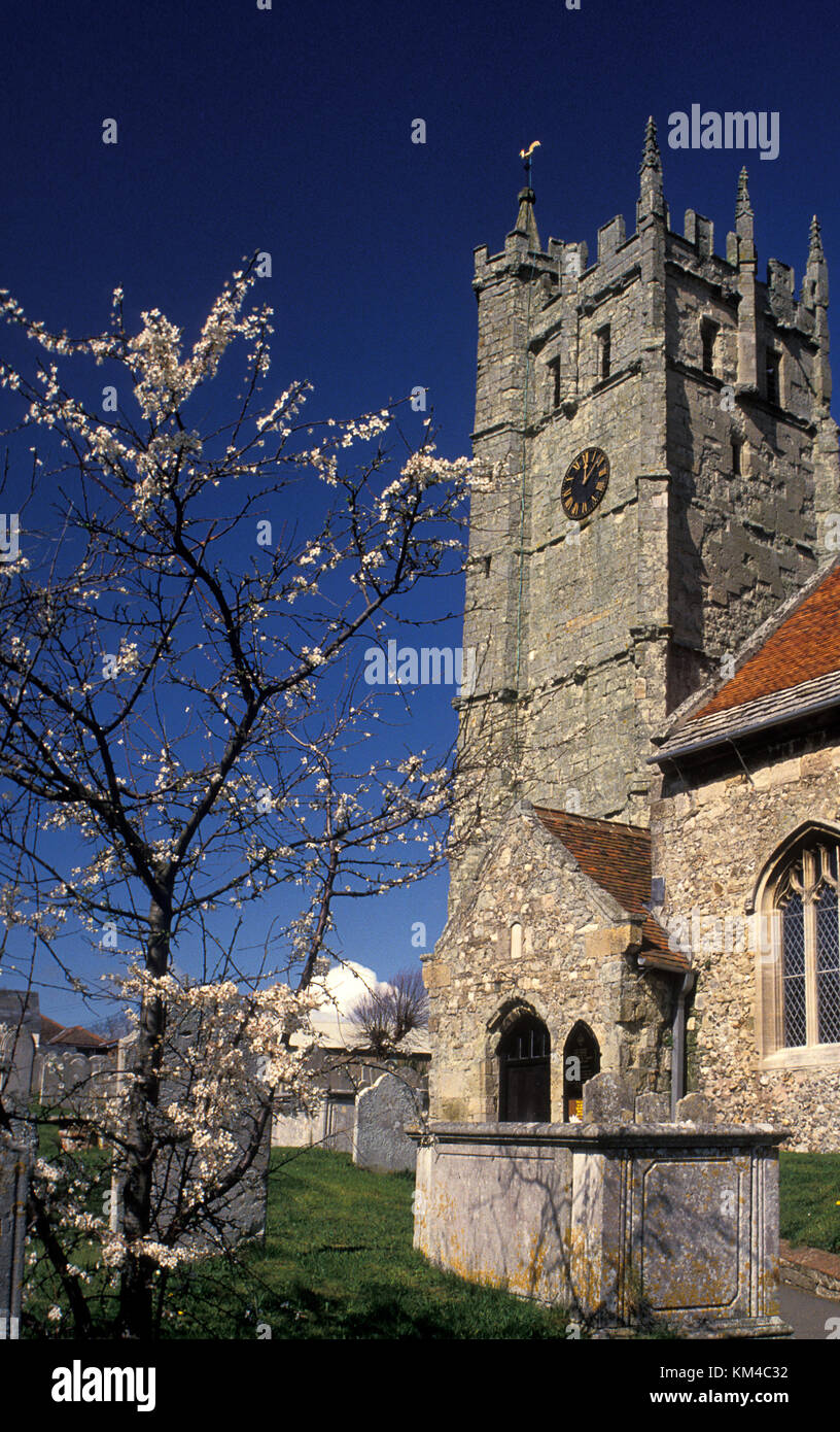 Chiesa parrocchiale di St Mary, Carisbrooke, Isola di Wight, Hampshire, Inghilterra Foto Stock