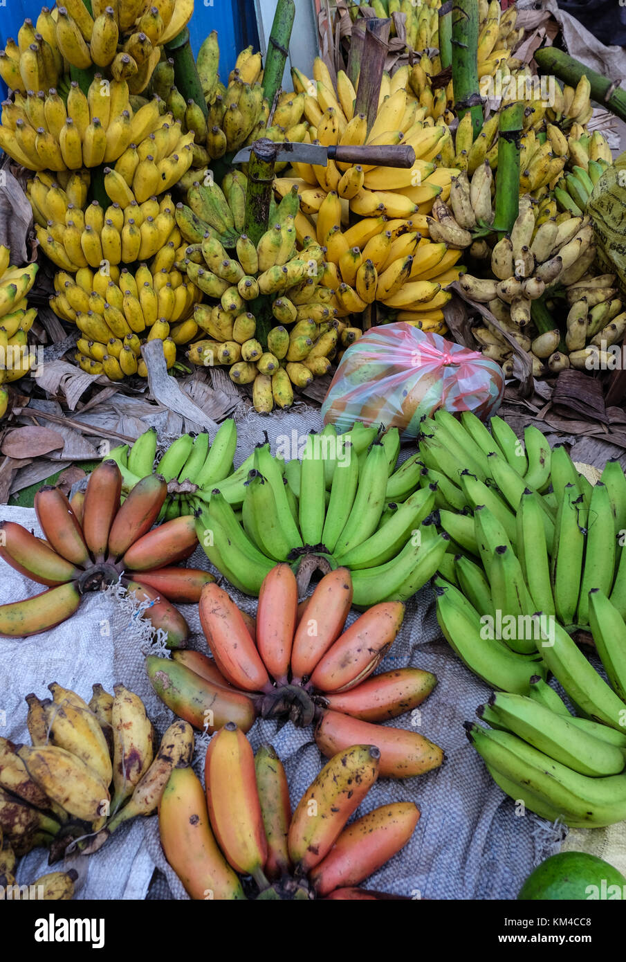 Coltivate a banana per la vendita al dettaglio presso il mercato locale della frutta in Colombo, Sri lanka. Foto Stock