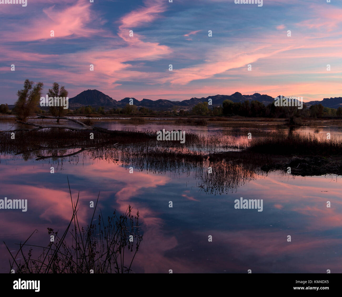 Tramonto al grigio lodge area faunistica, Pennington, california, Stati Uniti d'America, con colori rosa e riflessi nell'acqua e la sutter buttes nel Foto Stock