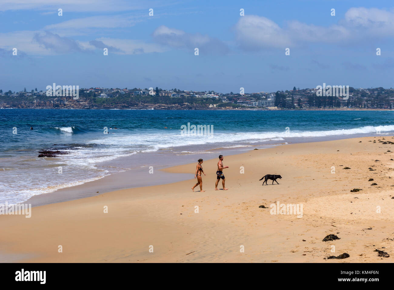 Surf rompe su una lunga spiaggia reef a collaroy, un sobborgo a nord di Sydney, Nuovo Galles del Sud, Australia Foto Stock