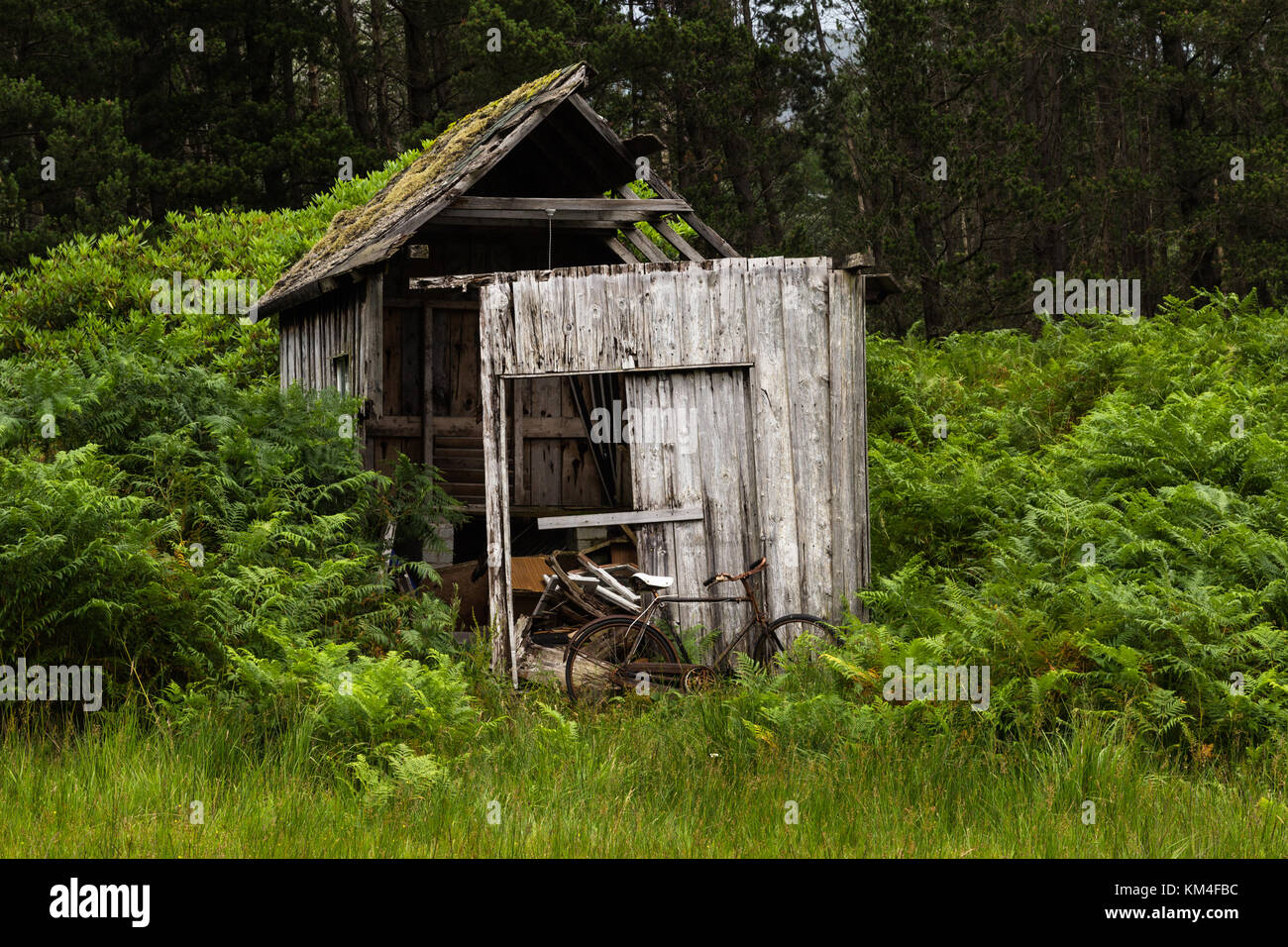 Tumbledown capannone con la vecchia bicicletta atto sul bordo di una foresta di Glen Etive, Highlands della Scozia Foto Stock
