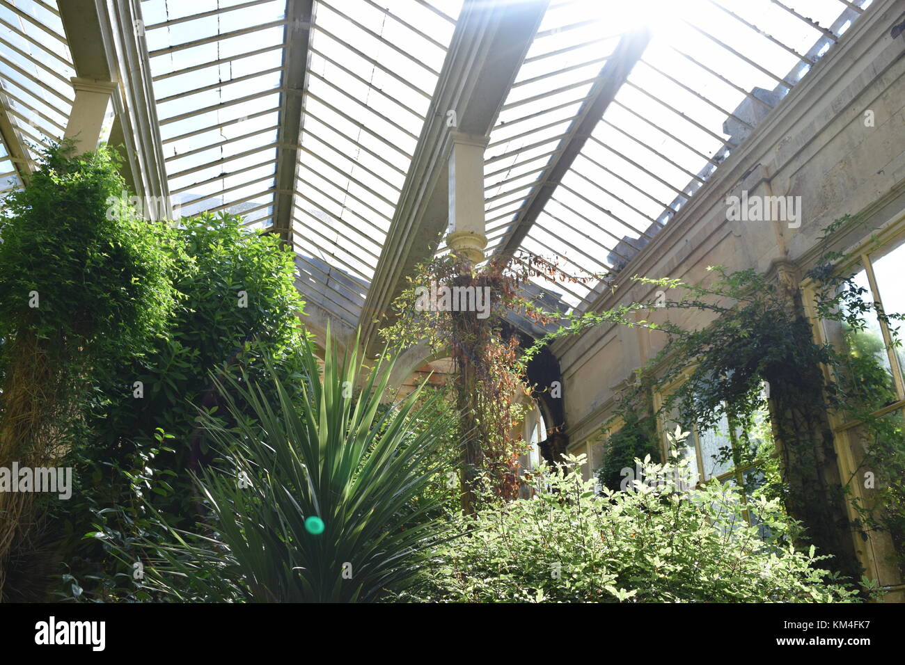 Una varietà di piante che crescono e attorno a pilastri in una serra in Castle Ashby Gardens Foto Stock