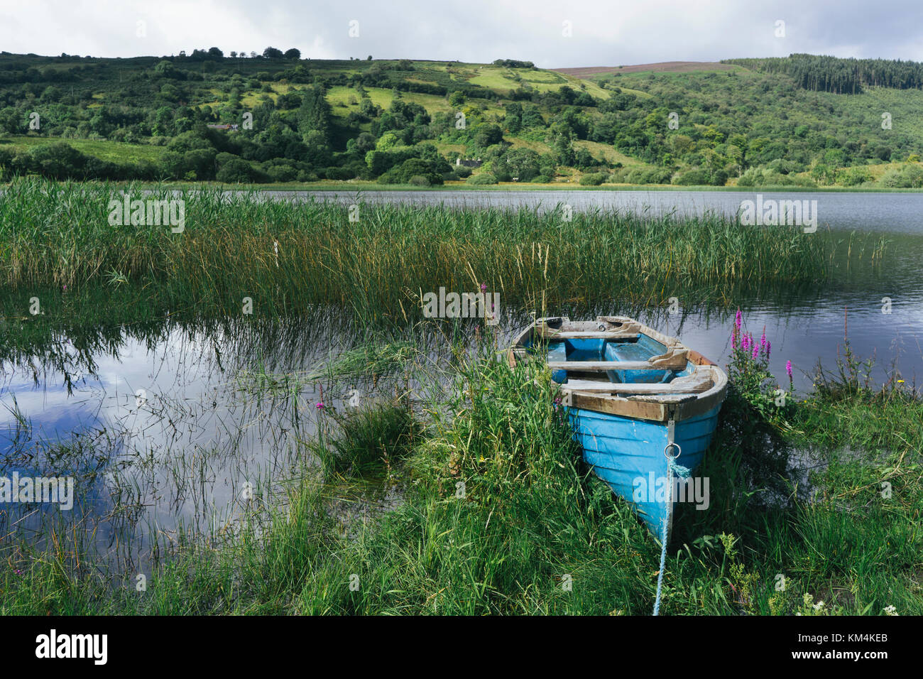 In legno di colore blu canotto giacente sulla riva del lago glenade, glenade, nella Contea di Leitrim, Irlanda. Foto Stock