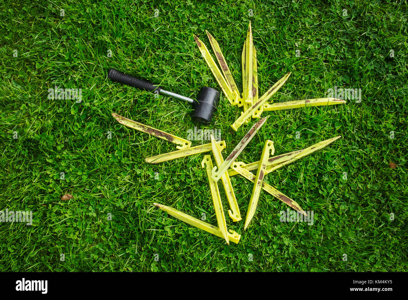 Un mazzuolo e plastica gialla pioli e picchetti da tenda sull'erba, attrezzature per il campeggio. Foto Stock