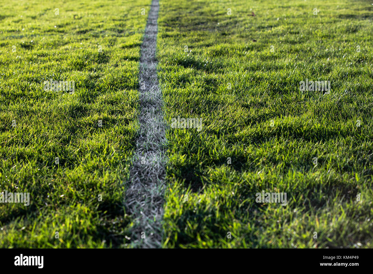 Una linea bianca sul bordo di un campo da calcio, dipinta sull'erba. Foto Stock