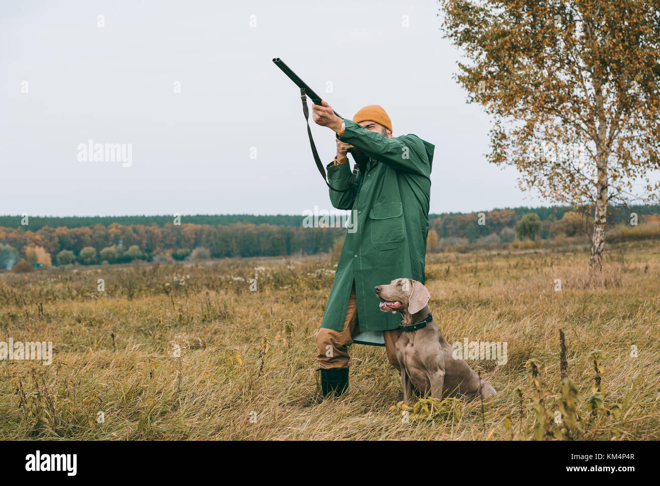 caccia Foto Stock